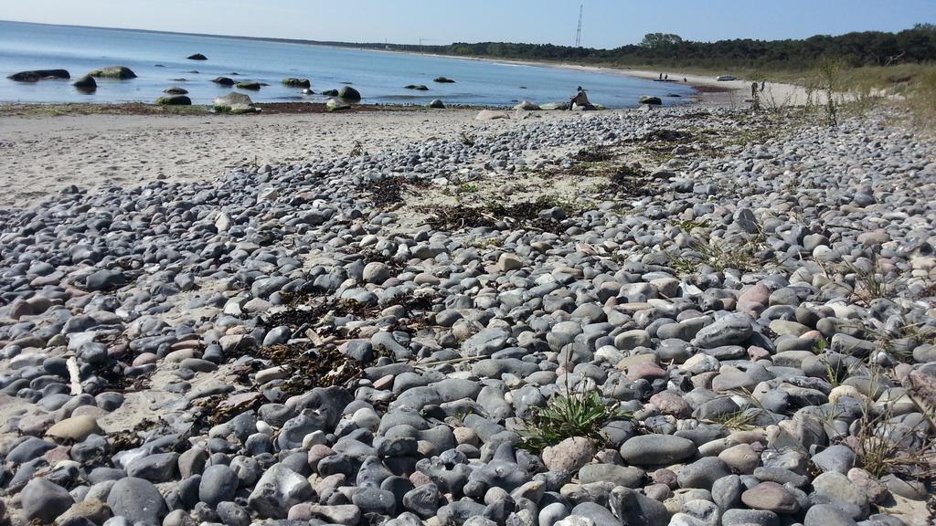 Ferienwohnungen Ruegen Findling Breege Exterior foto