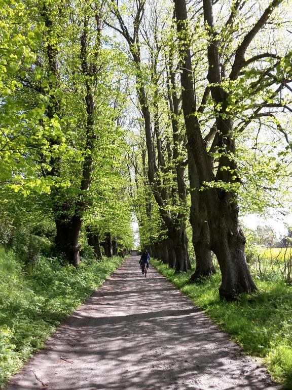 Ferienwohnungen Ruegen Findling Breege Exterior foto