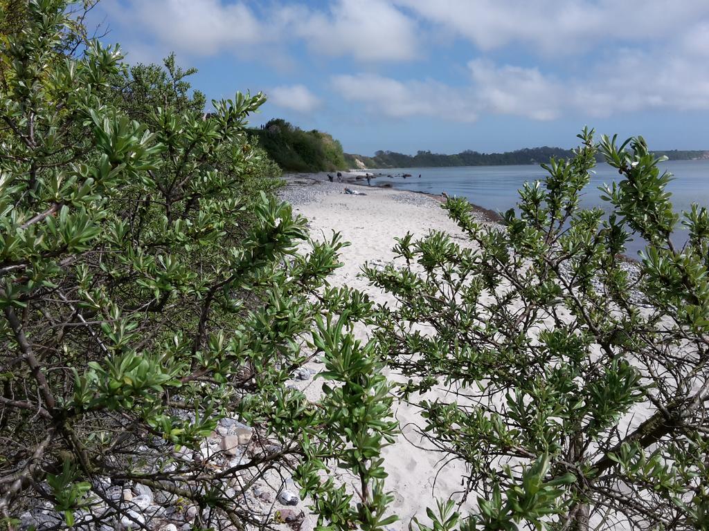 Ferienwohnungen Ruegen Findling Breege Exterior foto