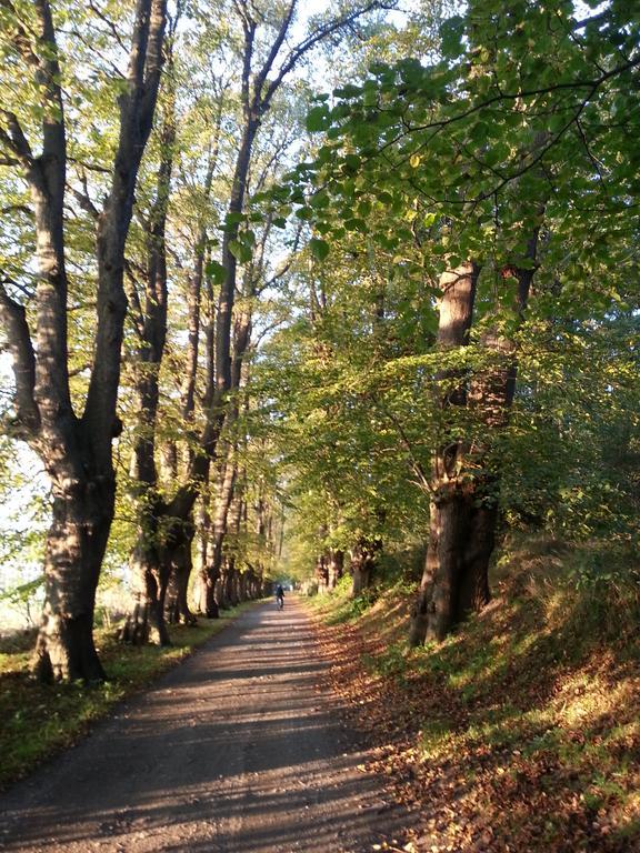 Ferienwohnungen Ruegen Findling Breege Exterior foto